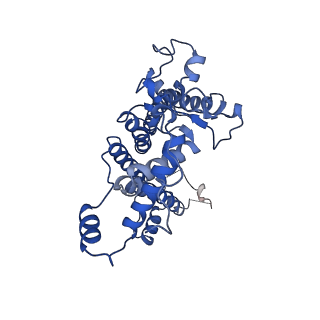 16389_8c29_d_v1-2
Cryo-EM structure of photosystem II C2S2 supercomplex from Norway spruce (Picea abies) at 2.8 Angstrom resolution