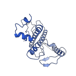 16389_8c29_s_v1-2
Cryo-EM structure of photosystem II C2S2 supercomplex from Norway spruce (Picea abies) at 2.8 Angstrom resolution
