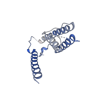 16390_8c2h_A_v1-3
Transmembrane domain of active state homomeric GluA1 AMPA receptor in tandem with TARP gamma 3
