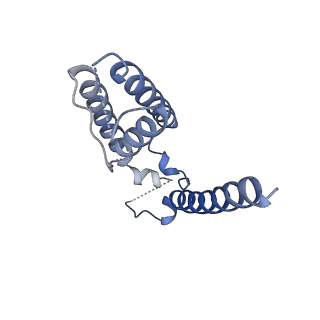 16390_8c2h_B_v1-3
Transmembrane domain of active state homomeric GluA1 AMPA receptor in tandem with TARP gamma 3