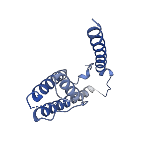 16390_8c2h_C_v1-3
Transmembrane domain of active state homomeric GluA1 AMPA receptor in tandem with TARP gamma 3