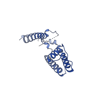 16390_8c2h_D_v1-3
Transmembrane domain of active state homomeric GluA1 AMPA receptor in tandem with TARP gamma 3
