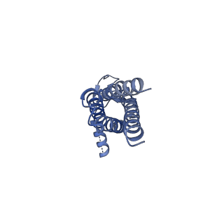 16390_8c2h_H_v1-3
Transmembrane domain of active state homomeric GluA1 AMPA receptor in tandem with TARP gamma 3