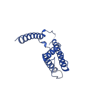 16391_8c2i_A_v1-3
Transmembrane domain of resting state homomeric GluA1 AMPA receptor in complex with TARP gamma 3