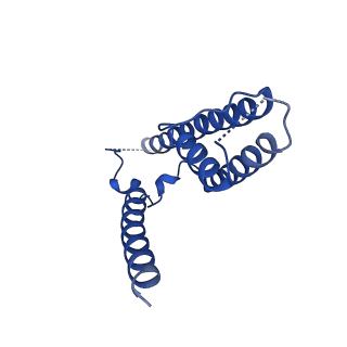 16391_8c2i_B_v1-3
Transmembrane domain of resting state homomeric GluA1 AMPA receptor in complex with TARP gamma 3
