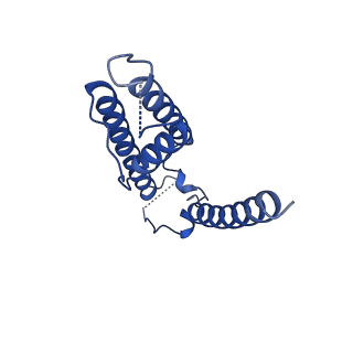 16391_8c2i_C_v1-3
Transmembrane domain of resting state homomeric GluA1 AMPA receptor in complex with TARP gamma 3