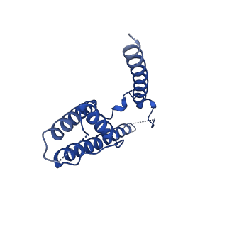 16391_8c2i_D_v1-3
Transmembrane domain of resting state homomeric GluA1 AMPA receptor in complex with TARP gamma 3