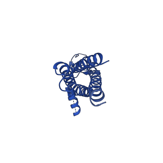 16391_8c2i_E_v1-3
Transmembrane domain of resting state homomeric GluA1 AMPA receptor in complex with TARP gamma 3