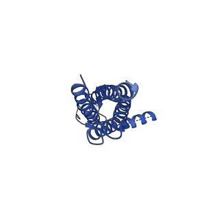 16391_8c2i_F_v1-3
Transmembrane domain of resting state homomeric GluA1 AMPA receptor in complex with TARP gamma 3