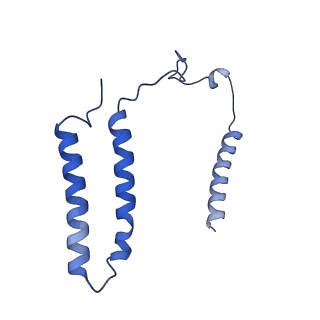 16398_8c2s_A_v1-2
Cryo-EM structure NDUFS4 knockout complex I from Mus musculus heart (Class 1).