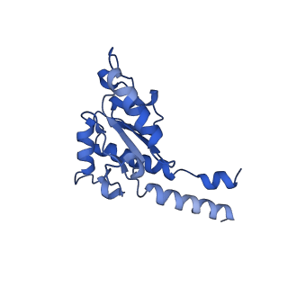 16398_8c2s_B_v1-2
Cryo-EM structure NDUFS4 knockout complex I from Mus musculus heart (Class 1).