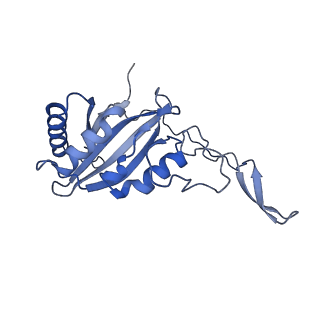 16398_8c2s_C_v1-2
Cryo-EM structure NDUFS4 knockout complex I from Mus musculus heart (Class 1).