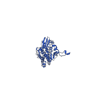 16398_8c2s_D_v1-2
Cryo-EM structure NDUFS4 knockout complex I from Mus musculus heart (Class 1).