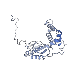 16398_8c2s_E_v1-2
Cryo-EM structure NDUFS4 knockout complex I from Mus musculus heart (Class 1).