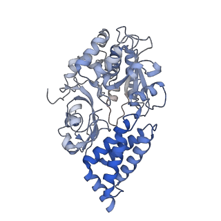 16398_8c2s_F_v1-2
Cryo-EM structure NDUFS4 knockout complex I from Mus musculus heart (Class 1).