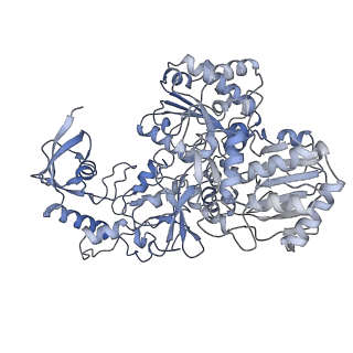 16398_8c2s_G_v1-2
Cryo-EM structure NDUFS4 knockout complex I from Mus musculus heart (Class 1).