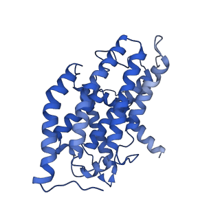 16398_8c2s_H_v1-2
Cryo-EM structure NDUFS4 knockout complex I from Mus musculus heart (Class 1).