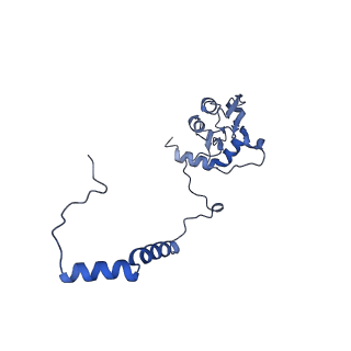 16398_8c2s_I_v1-2
Cryo-EM structure NDUFS4 knockout complex I from Mus musculus heart (Class 1).
