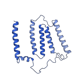 16398_8c2s_J_v1-2
Cryo-EM structure NDUFS4 knockout complex I from Mus musculus heart (Class 1).