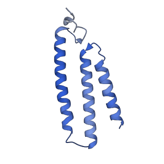 16398_8c2s_K_v1-2
Cryo-EM structure NDUFS4 knockout complex I from Mus musculus heart (Class 1).