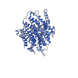 16398_8c2s_L_v1-2
Cryo-EM structure NDUFS4 knockout complex I from Mus musculus heart (Class 1).