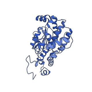 16398_8c2s_O_v1-2
Cryo-EM structure NDUFS4 knockout complex I from Mus musculus heart (Class 1).