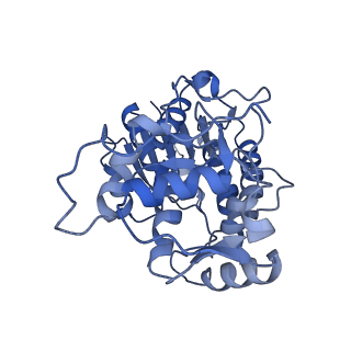 16398_8c2s_P_v1-2
Cryo-EM structure NDUFS4 knockout complex I from Mus musculus heart (Class 1).