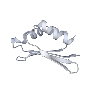 16398_8c2s_S_v1-2
Cryo-EM structure NDUFS4 knockout complex I from Mus musculus heart (Class 1).