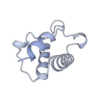 16398_8c2s_T_v1-2
Cryo-EM structure NDUFS4 knockout complex I from Mus musculus heart (Class 1).