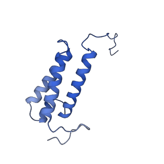 16398_8c2s_V_v1-2
Cryo-EM structure NDUFS4 knockout complex I from Mus musculus heart (Class 1).