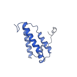 16398_8c2s_W_v1-2
Cryo-EM structure NDUFS4 knockout complex I from Mus musculus heart (Class 1).