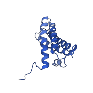 16398_8c2s_Y_v1-2
Cryo-EM structure NDUFS4 knockout complex I from Mus musculus heart (Class 1).