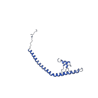 16398_8c2s_Z_v1-2
Cryo-EM structure NDUFS4 knockout complex I from Mus musculus heart (Class 1).