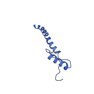 16398_8c2s_a_v1-2
Cryo-EM structure NDUFS4 knockout complex I from Mus musculus heart (Class 1).