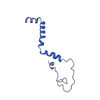 16398_8c2s_b_v1-2
Cryo-EM structure NDUFS4 knockout complex I from Mus musculus heart (Class 1).