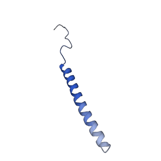 16398_8c2s_c_v1-2
Cryo-EM structure NDUFS4 knockout complex I from Mus musculus heart (Class 1).