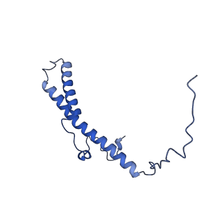 16398_8c2s_d_v1-2
Cryo-EM structure NDUFS4 knockout complex I from Mus musculus heart (Class 1).