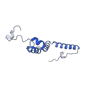 16398_8c2s_e_v1-2
Cryo-EM structure NDUFS4 knockout complex I from Mus musculus heart (Class 1).