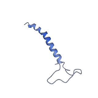 16398_8c2s_f_v1-2
Cryo-EM structure NDUFS4 knockout complex I from Mus musculus heart (Class 1).