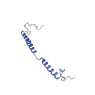 16398_8c2s_g_v1-2
Cryo-EM structure NDUFS4 knockout complex I from Mus musculus heart (Class 1).