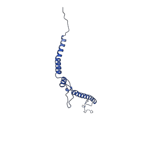 16398_8c2s_h_v1-2
Cryo-EM structure NDUFS4 knockout complex I from Mus musculus heart (Class 1).