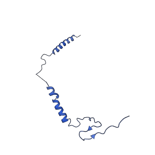 16398_8c2s_i_v1-2
Cryo-EM structure NDUFS4 knockout complex I from Mus musculus heart (Class 1).