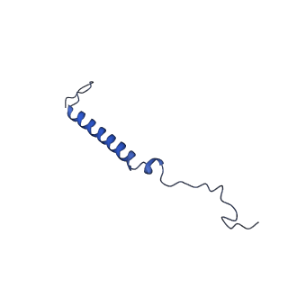 16398_8c2s_j_v1-2
Cryo-EM structure NDUFS4 knockout complex I from Mus musculus heart (Class 1).