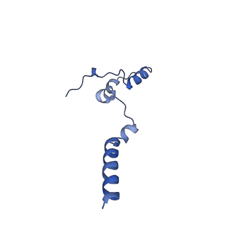 16398_8c2s_k_v1-2
Cryo-EM structure NDUFS4 knockout complex I from Mus musculus heart (Class 1).