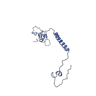 16398_8c2s_l_v1-2
Cryo-EM structure NDUFS4 knockout complex I from Mus musculus heart (Class 1).