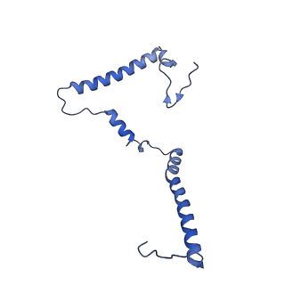 16398_8c2s_m_v1-2
Cryo-EM structure NDUFS4 knockout complex I from Mus musculus heart (Class 1).