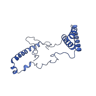 16398_8c2s_n_v1-2
Cryo-EM structure NDUFS4 knockout complex I from Mus musculus heart (Class 1).