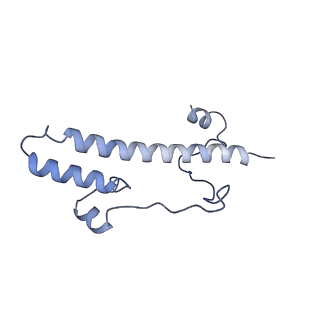 16398_8c2s_o_v1-2
Cryo-EM structure NDUFS4 knockout complex I from Mus musculus heart (Class 1).
