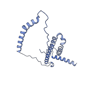 16398_8c2s_p_v1-2
Cryo-EM structure NDUFS4 knockout complex I from Mus musculus heart (Class 1).