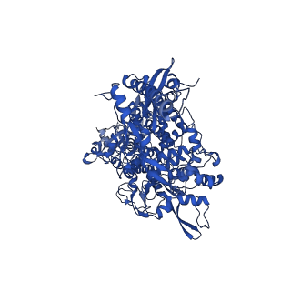 30275_7c2k_A_v1-3
COVID-19 RNA-dependent RNA polymerase pre-translocated catalytic complex